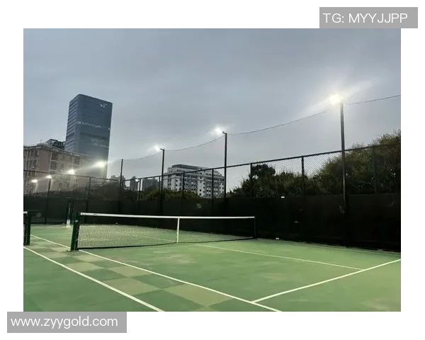 深圳网球队中路突破的成功与不足分析与展望